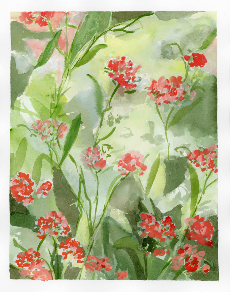 Floral Study No 1