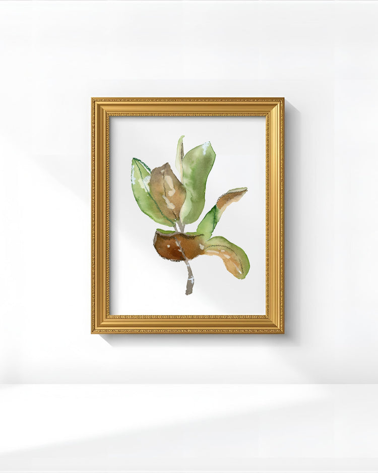 Magnolia Leaf No 1