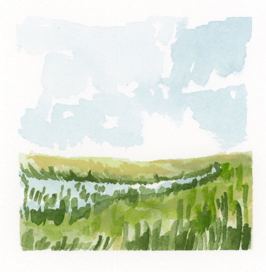 Mini Grassy Marsh No 2 Print (4x4)