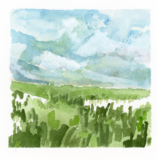 Mini Grassy Marsh No 3