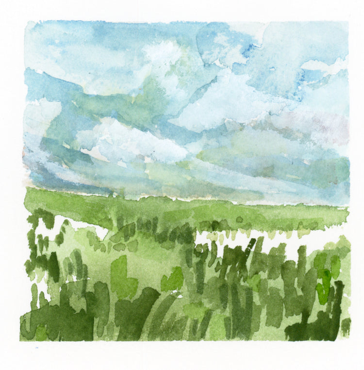 Mini Grassy Marsh No 3