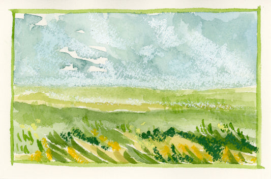 Grasslands (4x6)