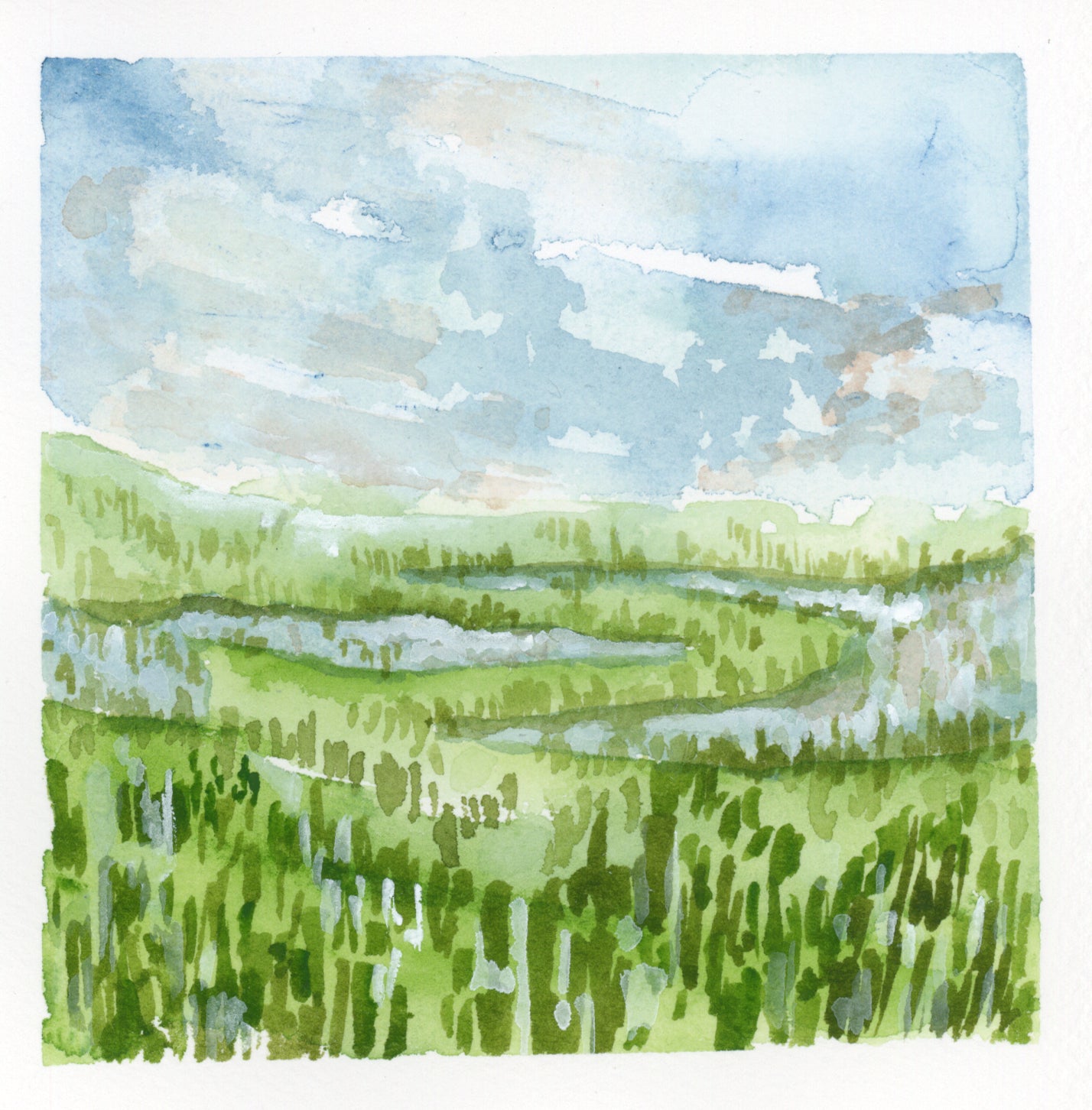 Marshlands No 1 Print (5x5)