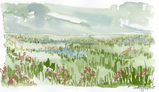 Cloudy Skies Print