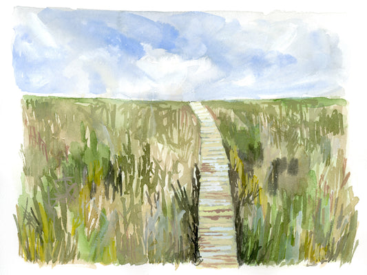 Boardwalk Landscape