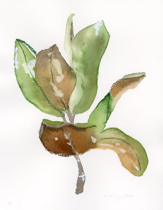 Magnolia Leaf No 1 Print