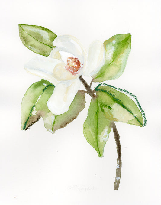 Magnolia Leaf No 2