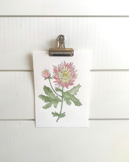 November Birth Month Flower Print (5x7)